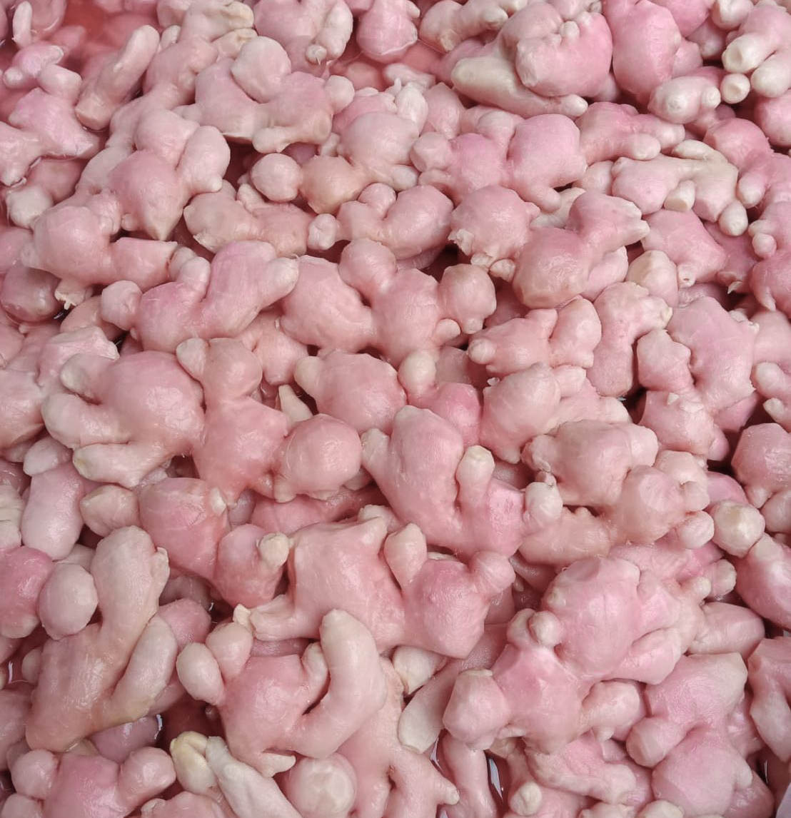 Low-Sodium Pickled Ginger